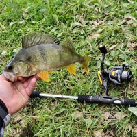 Okuma Jaw Spinning Reels